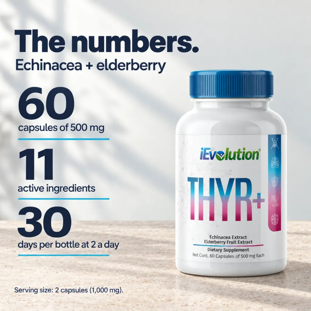 THYR+ key facts